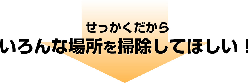 せっかくだからいろんな場所を掃除してほしい